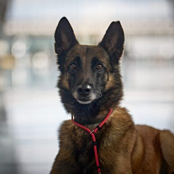 250605-250505 Room 1 Round 2-919 1